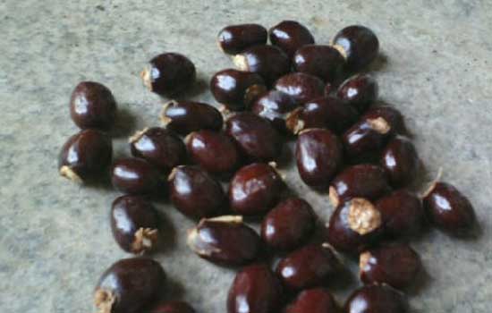 湖南省水利水电勘测设计研究总院召开团委“五四”表彰大会|beat365官网中文