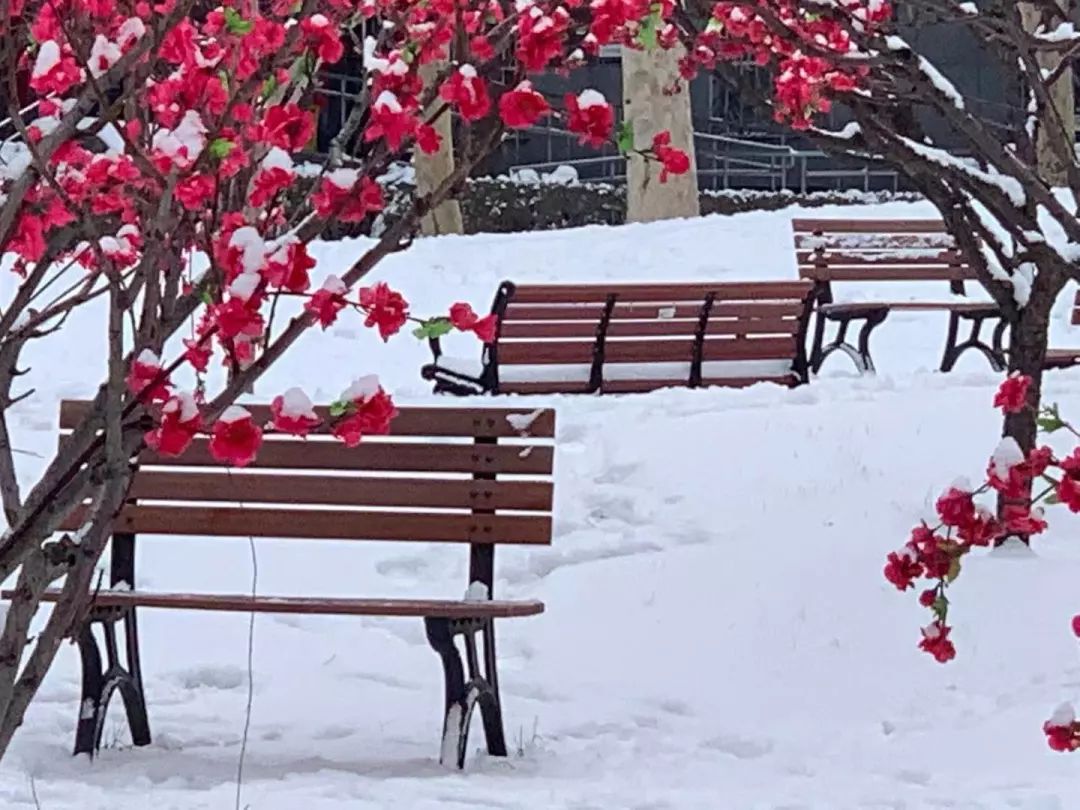 福斯特事务所设计的波尔多玛歌酒庄新酿酒厂已完工-beat365(图3)