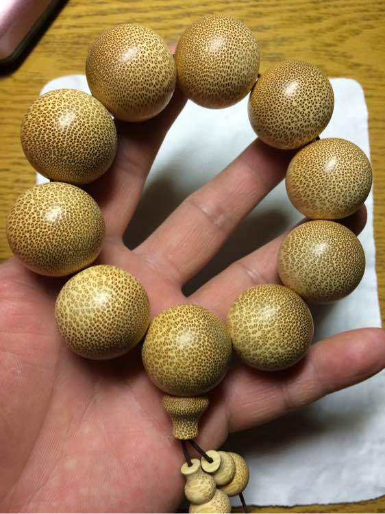 光明日报刊文评大学校门酷似凯旋门：山寨与倡导创新精神相悖“beat365”(图2)